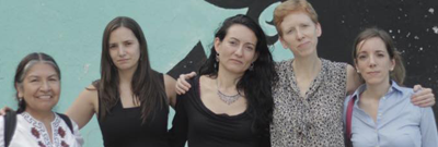 Carta Abierta: Preocupa a Misión de Observación negativa de protección de la SEGOB a la defensora guerrerense Norma Mesino