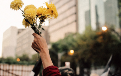 Promover discurso de guerra fractura aún más a la sociedad mexicana