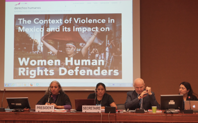 Defensoras denuncian en la ONU fallas del Estado mexicano para ejercer su labor