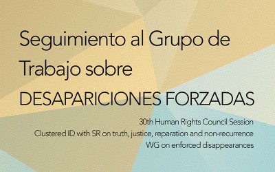 Seguimiento del Grupo de Trabajo sobre desapariciones forzadas