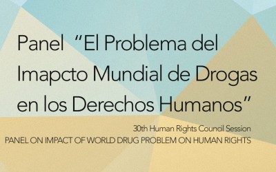 Panel  “El Problema del  Imapcto Mundial de Drogas en los Derechos Humanos”