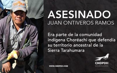 Inaceptable nuevo asesinato contra defensor indígena en Chihuahua