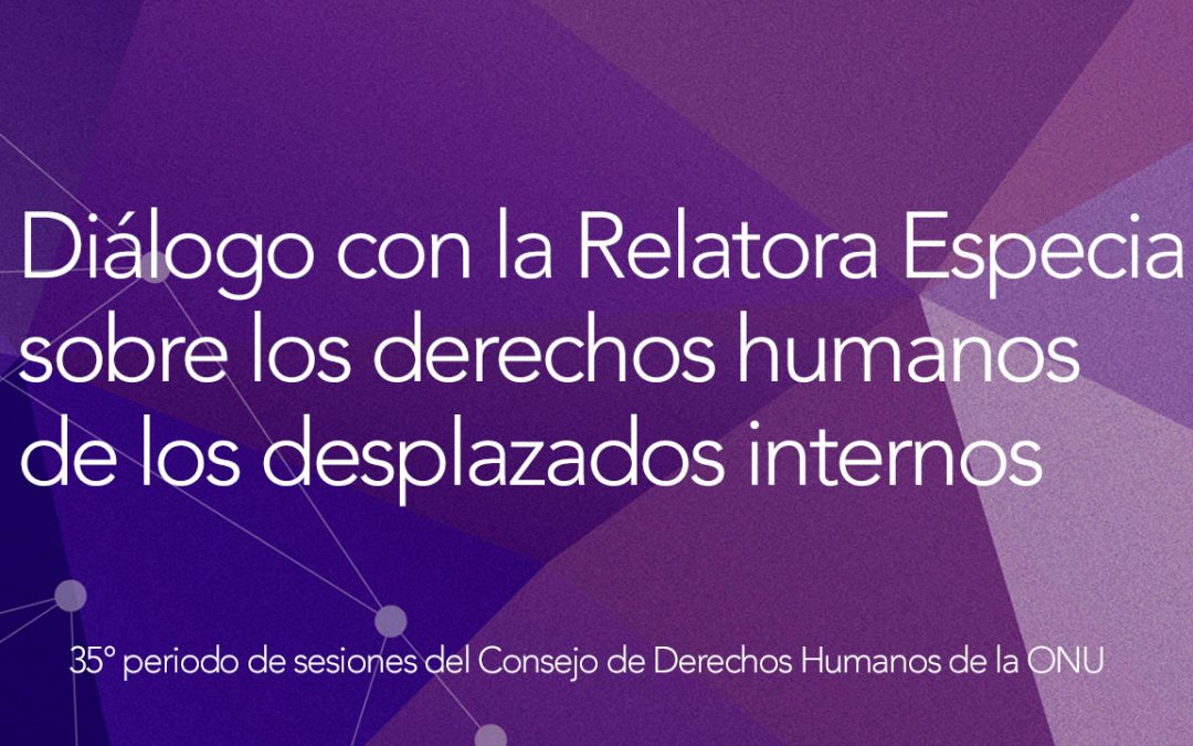 Diálogo interactivo con la Relatora Especial sobre los derechos humanos de los desplazados internos