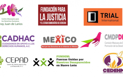 Organizaciones presentan denuncia general al Grupo de Trabajo sobre desapariciones forzadas o involuntarias relativas a la condición de los niñas, niños y adolescentes víctimas de las desapariciones en México