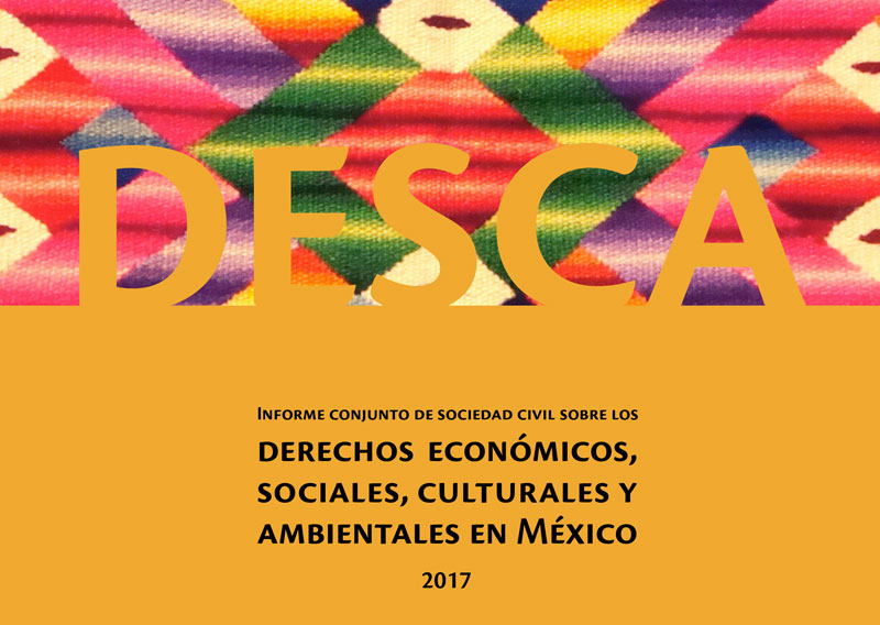 Informe Alternativo DESCA conjunto 2017