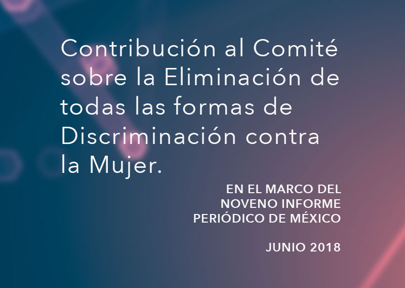 Contribución al Comité sobre la Eliminación de todas las formas de Discriminación contra la Mujer