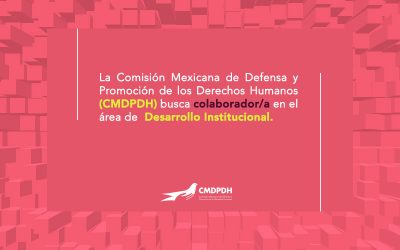 La Comisión Mexicana de Defensa y Promoción de los Derechos Humanos (CMDPDH) busca colaborador/a en el área de Desarrollo Institucional