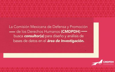 La Comisión Mexicana de Defensa y Promoción de los Derechos Humanos (CMDPDH) busca consultor(a) para diseño y análisis de bases de datos en el área de Investigación
