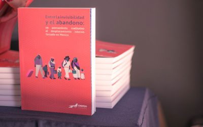 Entre la invisibilidad y el abandono: Un análisis cuantitativo y cualitativo del desplazamiento interno forzado en México