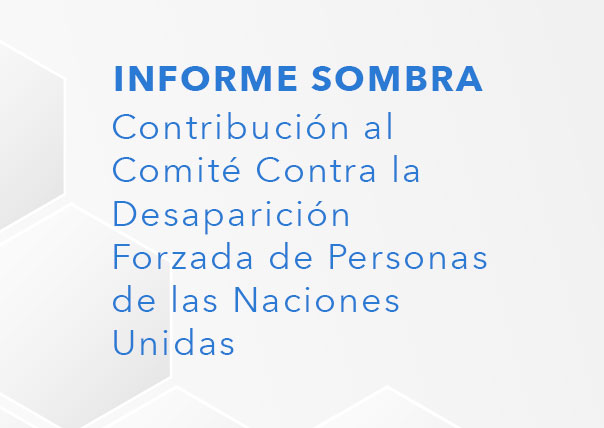 Contribución al Comité Contra la Desaparición Forzada de Personas de las Naciones Unidas