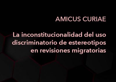 Amicus curiae sobre la inconstitucionalidad del uso discriminatorio de esterotipos en revisiones migratorias