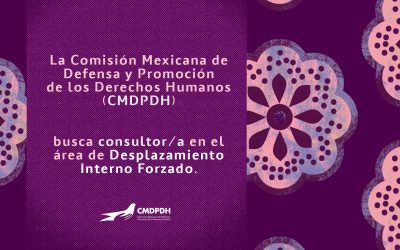 La Comisión Mexicana de Defensa y Promoción de los Derechos Humanos (CMDPDH) busca consultor/a en el área de Desplazamiento Interno Forzado