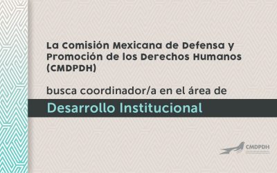 La Comisión Mexicana de Defensa y Promoción de los Derechos Humanos (CMDPDH) busca coordinador/a en el área de Desarrollo Institucional