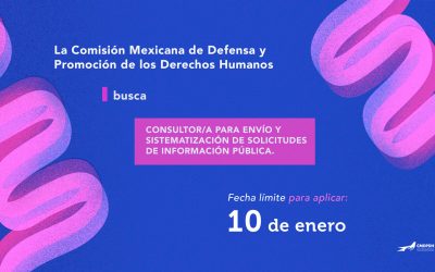 La CMDPDH busca consultor/a para envío y sistematización de solicitudes de información pública