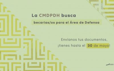 Convocatoria: Becarias/os para el área de Defensa