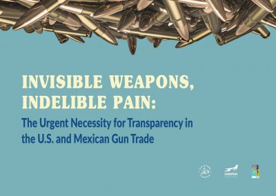 Invisible Weapons, Indelible Pain: The Urgent Necessity for Transparency in the U.S. and Mexican Gun Trade