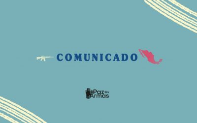 Comunicado: Ante la violencia producida por armas de fuego, organizaciones y academia lanzan campaña #PazSinArmas