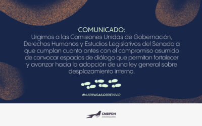 COMUNICADO: Urgimos a las Comisiones Unidas de Gobernación, Derechos Humanos y Estudios Legislativos del Senado a que cumplan cuanto antes con el compromiso asumido de convocar espacios de diálogo que permitan fortalecer y avanzar hacia la adopción de una ley general sobre desplazamiento interno.